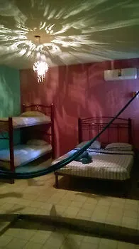 Гостевой дом Maya Cha'An Guesthouse