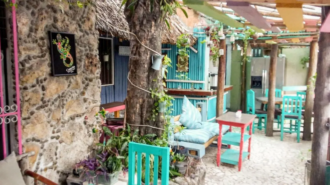 Maya Cha'An Guesthouse Канкун